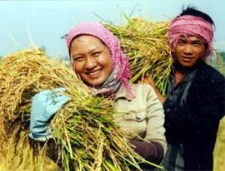 Phát động cuộc thi viết về Xây dựng nông thôn mới - lập công dâng Bác